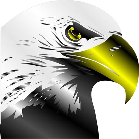 Download 600+ Bald Eagle Svg File Commercial Use